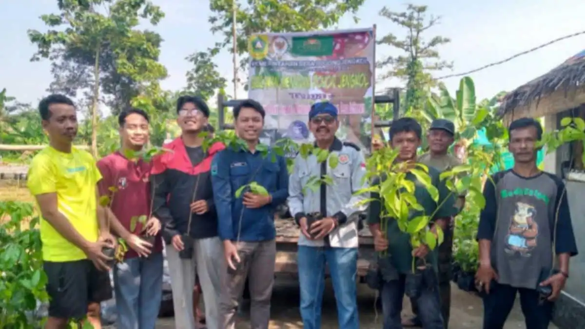 Pemdes Bojong Jengkol Hidupkan Kembali Pohon Jengkol di Wilayah Desanya