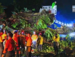 Bogor Dilanda Bencana, Dedie Instruksikan Kadisperumkim Cek KTP Pohon