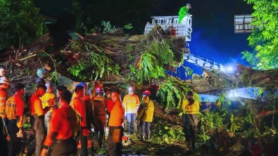 Bogor Dilanda Bencana, Dedie Instruksikan Kadisperumkim Cek KTP Pohon