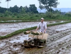 Peringati HUT ke 39 PTI Tanam Pohon di Kampung Parung Jambu Baranangsiang