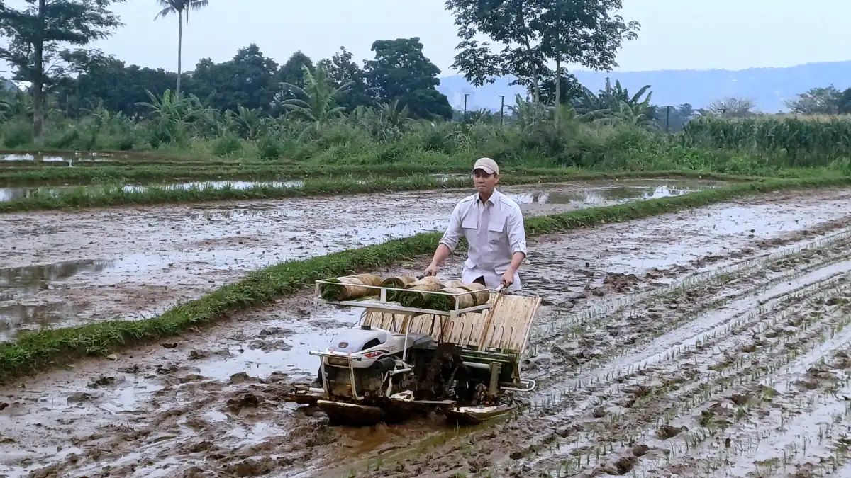 Peringati HUTnya yang ke 39 PTI Tanam Pohon di Kampung Parung Jambu Baranangsiang