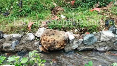 Pembangunan Drainase Bankeu 2025 Desa Sukaharja Diduga Tak Berpondasi