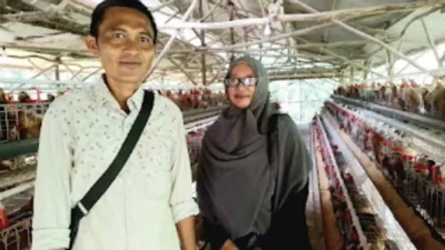 Pemdes Sukawening Kembangkan Peternakan Ayam Telur Pemdes Sukawening Kembangkan Peternakan Ayam Telur