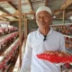 Program Ketahanan Pangan Desa Sukadamai 2026 peternakan 1.000 ayam petelur di Dramaga Bogor