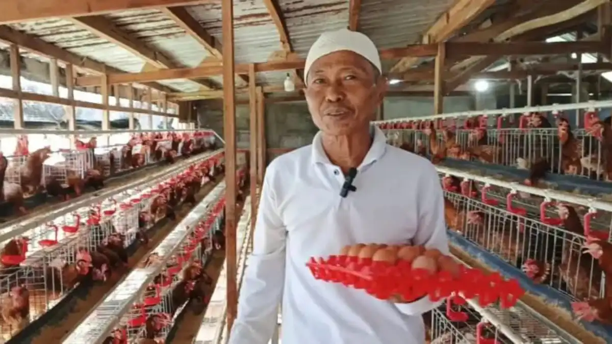 Program Ketahanan Pangan Desa Sukadamai 2026 peternakan 1.000 ayam petelur di Dramaga Bogor