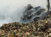 Pemkot Bogor Pastikan Sampah Tetap Terangkut Imbas Kebakaran TPAS Galuga Pemkot Bogor memastikan sampah tetap terangkut saat kebakaran TPAS Galuga