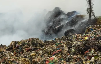 Pemkot Bogor Pastikan Sampah Tetap Terangkut Imbas Kebakaran TPAS Galuga Pemkot Bogor memastikan sampah tetap terangkut saat kebakaran TPAS Galuga