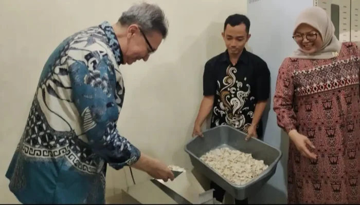 Produksi Tepung Talas Febi521, UNB Kembangkan Inovasi Kewirausahaan UNB produksi tepung Talas Febi521