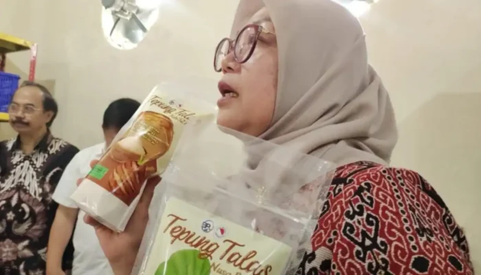 Produksi Tepung Talas Febi521, UNB Kembangkan Inovasi Kewirausahaan UNB produksi tepung Talas Febi521