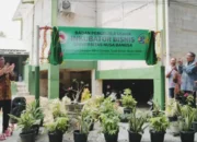 Produksi Tepung Talas Febi521, UNB Kembangkan Inovasi Kewirausahaan UNB produksi tepung Talas Febi521