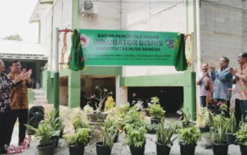 Produksi Tepung Talas Febi521, UNB Kembangkan Inovasi Kewirausahaan UNB produksi tepung Talas Febi521